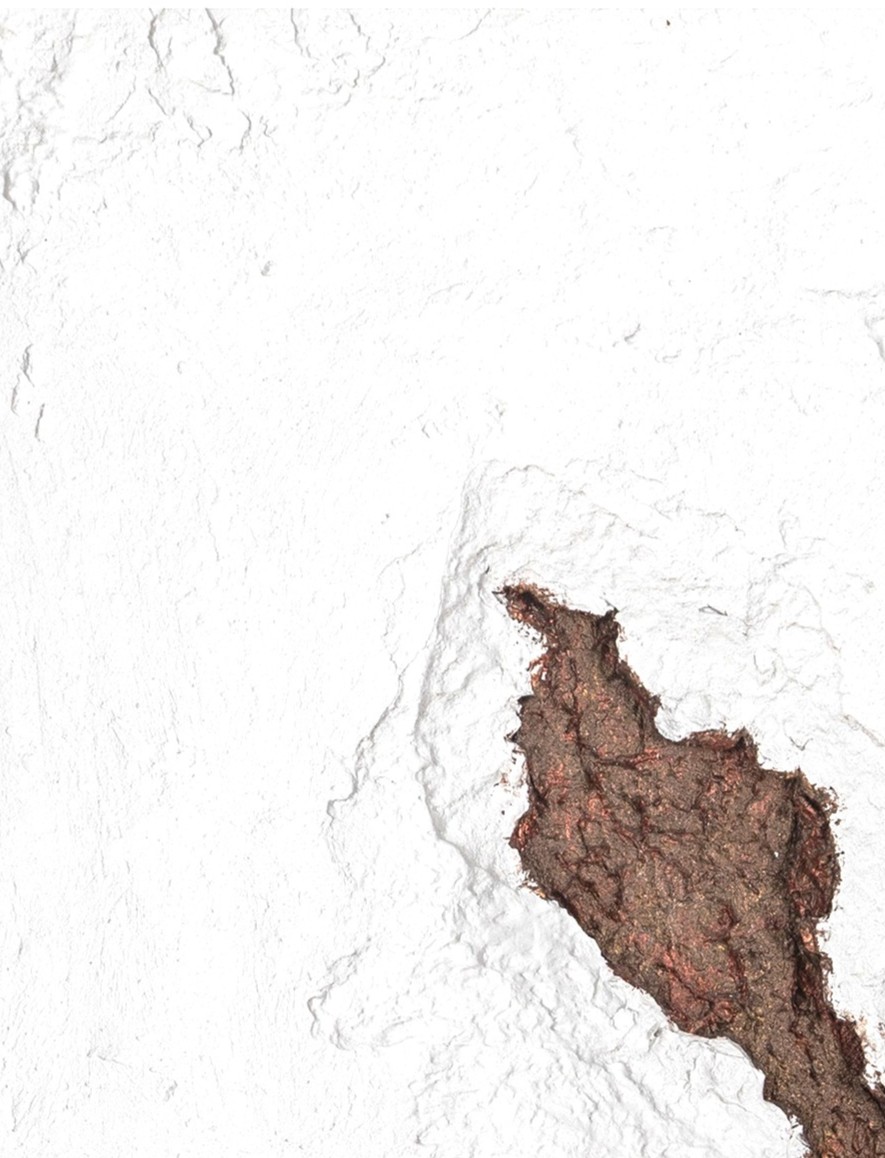 Revelation IV - Image 2