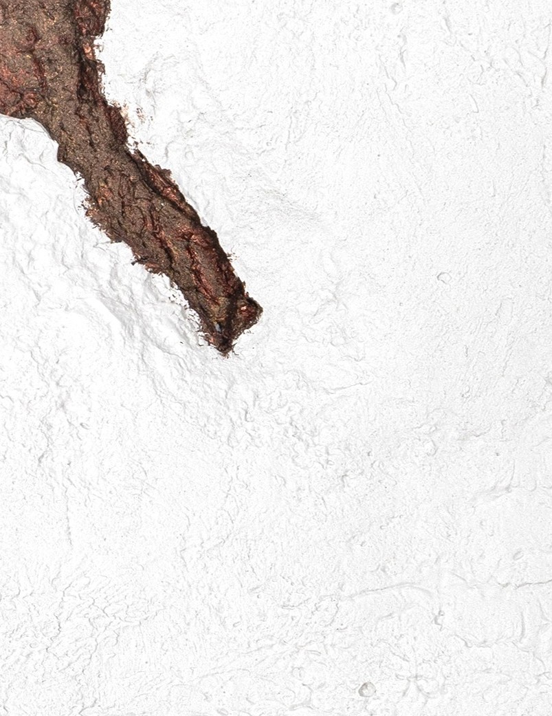 Revelation IV - Image 3
